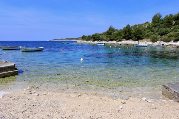 Dvornica - photo 7