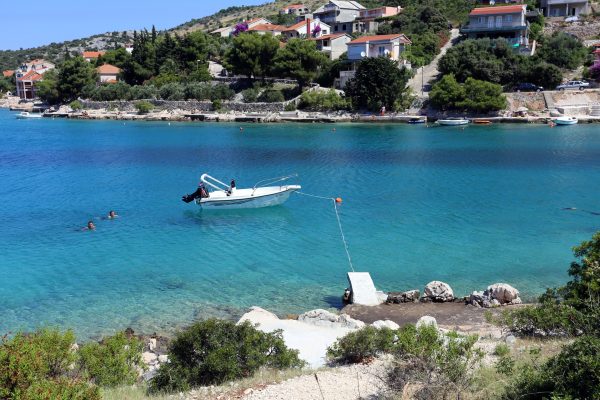 Kanica - photo 12