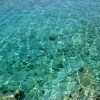 Oštrička luka - photo 13