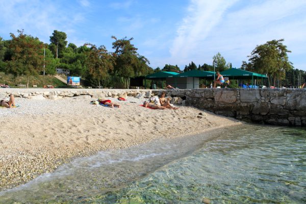Biondi - photo 21