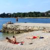 Biondi - photo 23