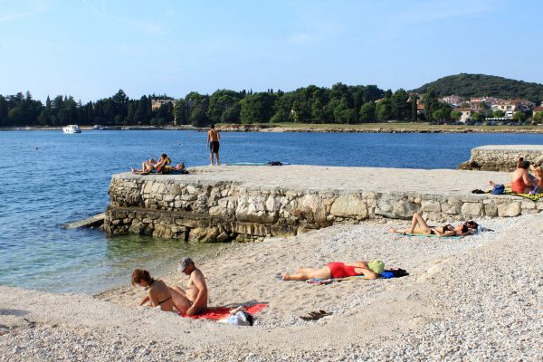 Biondi - photo 23