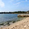 Biondi - photo 25