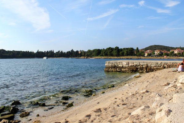 Biondi - photo 25
