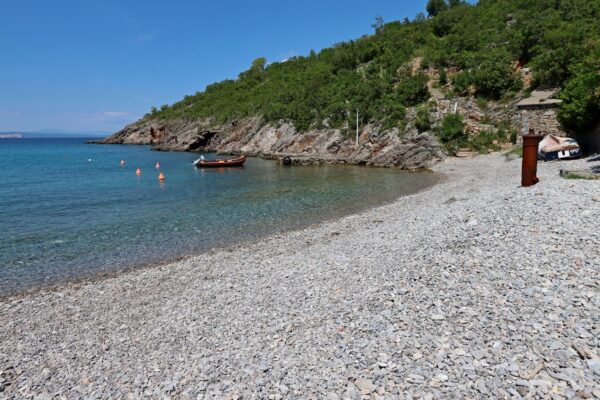 Jelena - photo 28