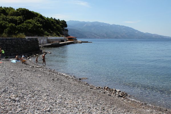 Jelena - photo 20