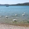Pirovac - photo 17
