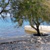 Šibenik - photo 33