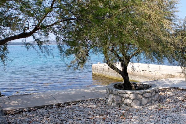 Šibenik - photo 33