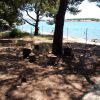 Zablaće - photo 40