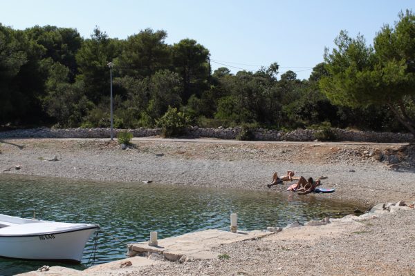 Piškera - photo 25