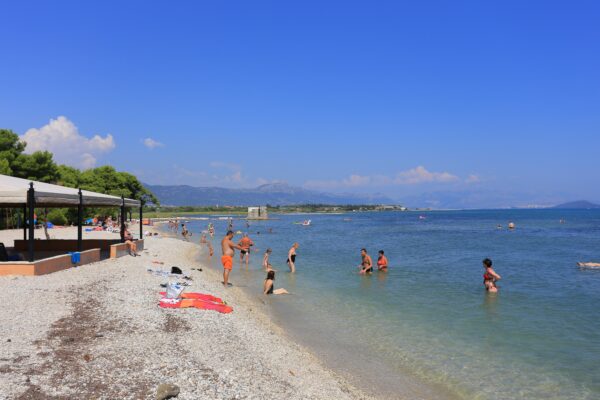Pantana - photo 16