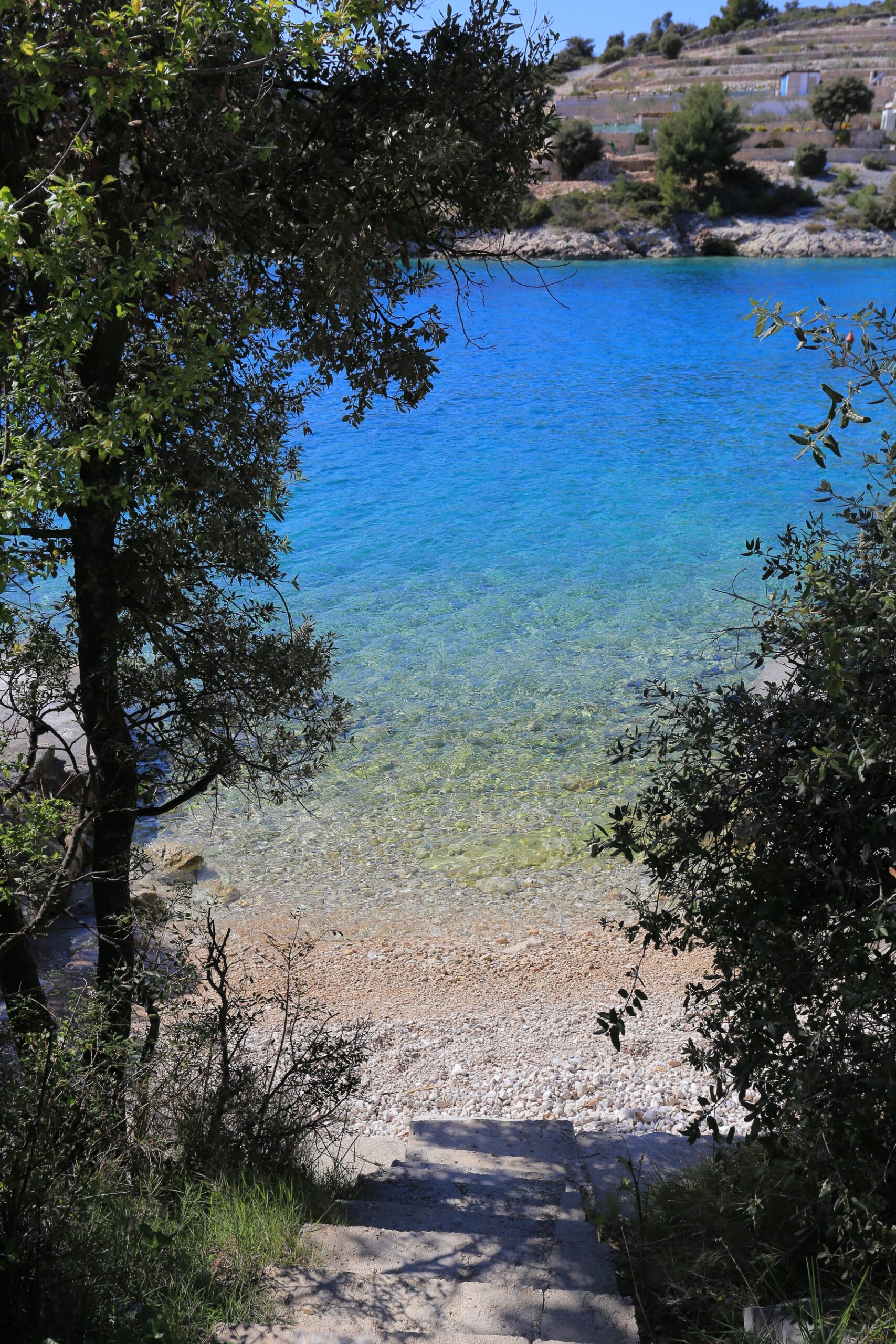 Sičenica