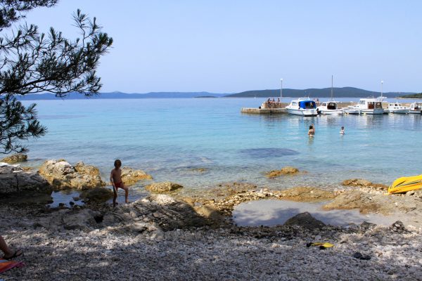Guduće - photo 23