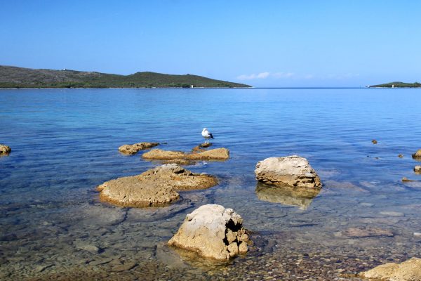 Guduće - photo 27