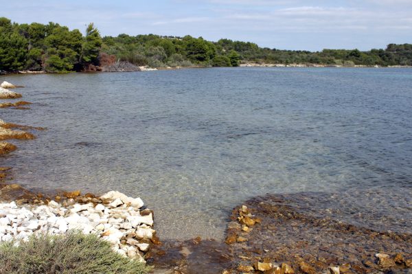 Kunčabok - photo 19