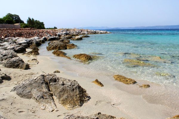 Muline - photo 11