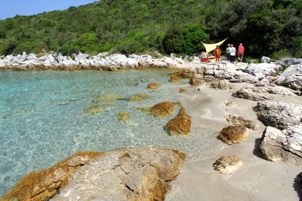 Muline - photo 20