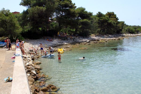 Muline - photo 21