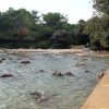 Muline - photo 23