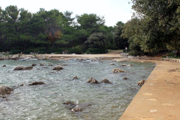 Muline - photo 23