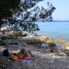 Muline - photo 26