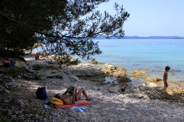 Muline - photo 26