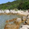 Muline - photo 28