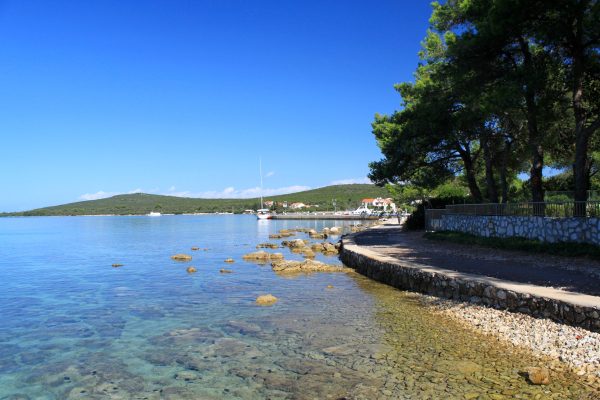 Muline - photo 14