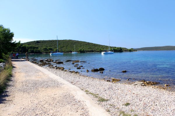 Muline - photo 17