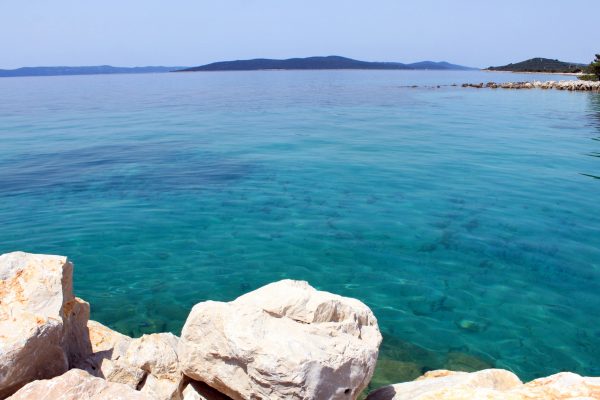Muline - photo 19