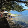 Zelena punta - photo 20