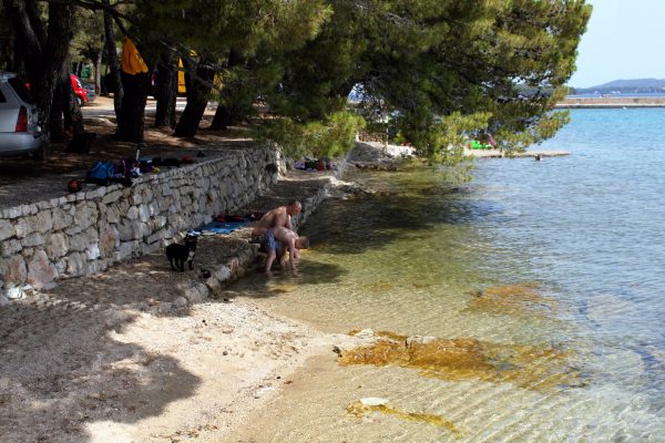 Zelena punta - photo 22