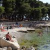 Zelena punta - photo 12