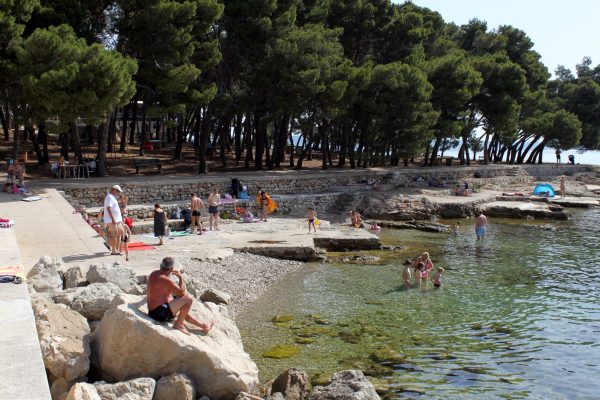 Zelena punta - photo 12