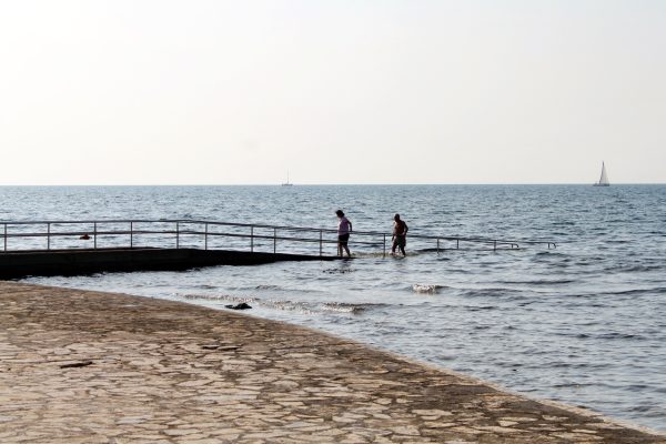 Punta - photo 27