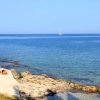 Bašanija - photo 11