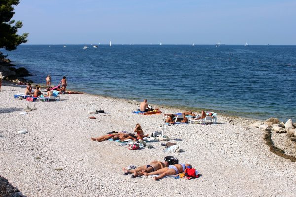 Crveni Vrh - photo 9