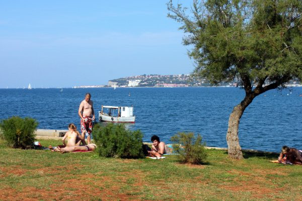 Crveni Vrh - photo 15