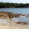 Duba - photo 8