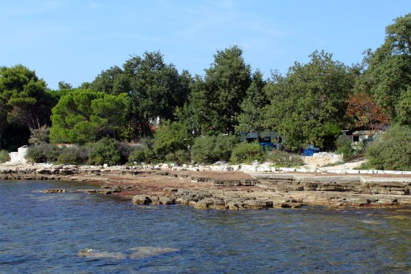 Duba - photo 11