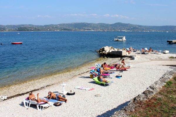 Kanegra - photo 6