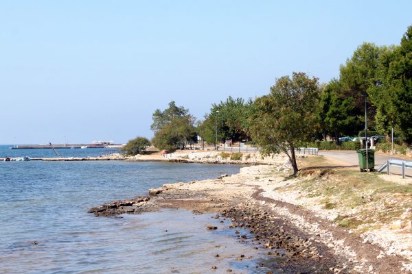 Lovrečica - photo 18