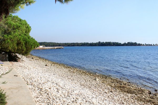 Lovrečica - photo 20