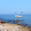 Umag - photo 27
