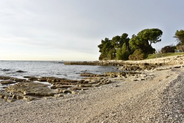 Veli Jože - photo 6