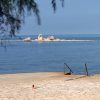 Polynesia beach - photo 18