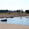 Polynesia beach - photo 22