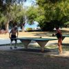 Polynesia beach - photo 23