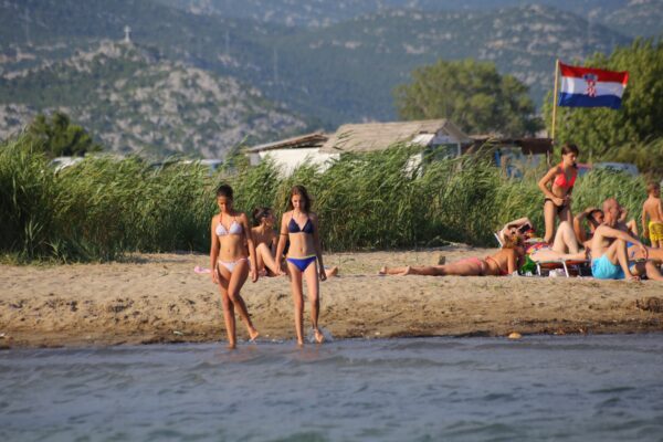 Blace - photo 9